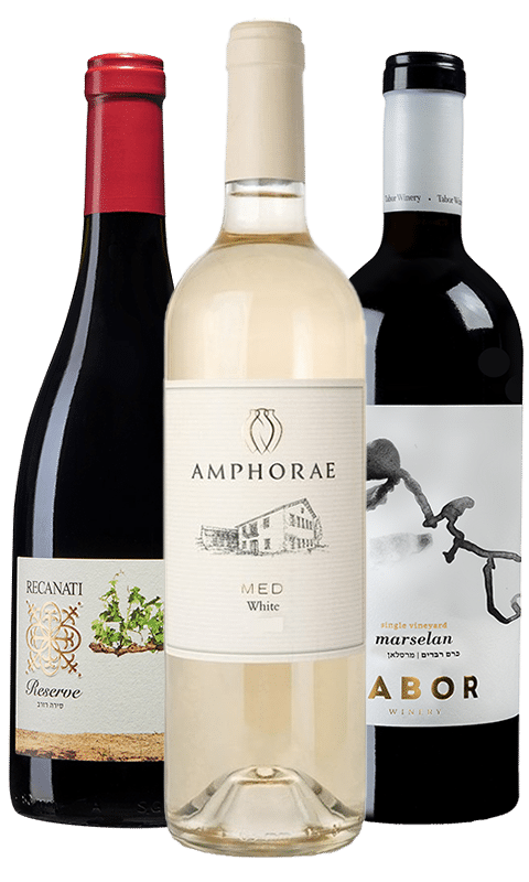 חבילת יינות ישראליים מזנים ים תיכוניים